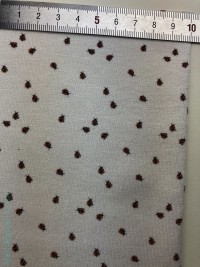 Божья коровка