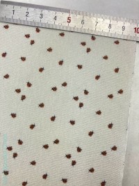 Божья коровка