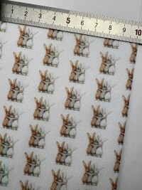 Зайцы в обнимку