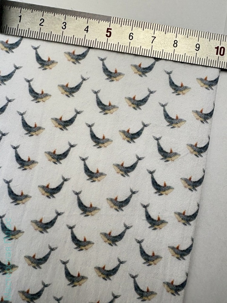 Киты в колпачках