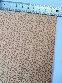 Бежевый Примитив 02