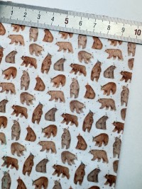 Медведи в колпачках